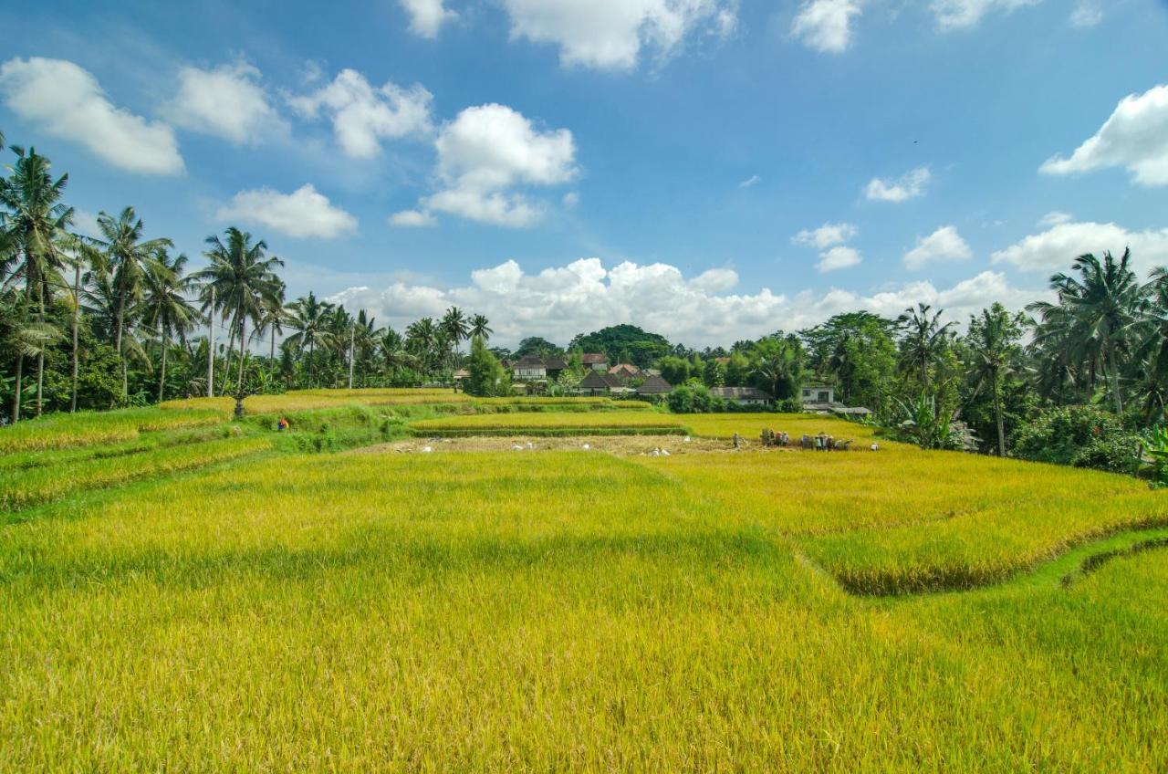 Danakha Villa Ubud Tegallalang  Exterior photo